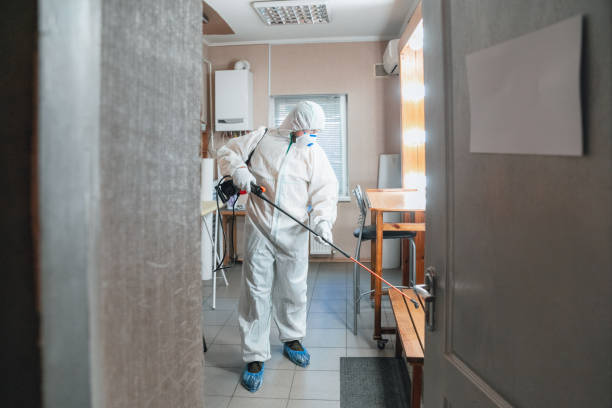  Gettysburg, PA Mold Removal Pros